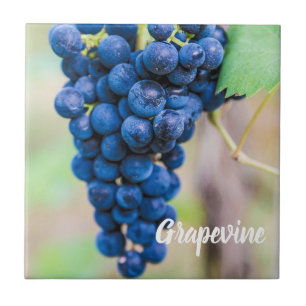 Grape Vine for wine and grapevine winegrower gift Ceramic Tile