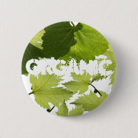 Grape Vine Green Leaves