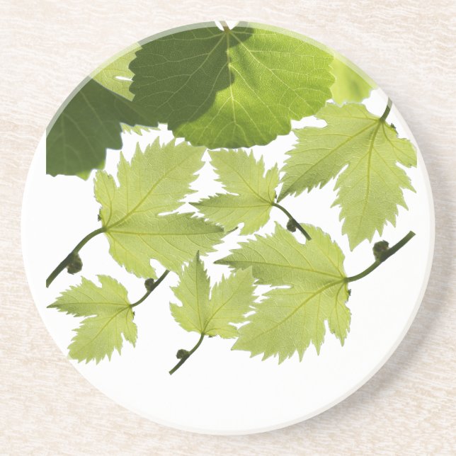 Grape Vine Green Leaves Coaster (Front)