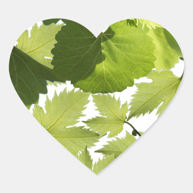 Grape Vine Green Leaves Heart Sticker (Front)