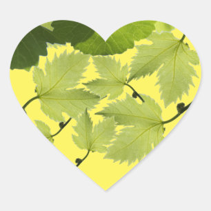 Grape Vine Green Leaves Heart Sticker