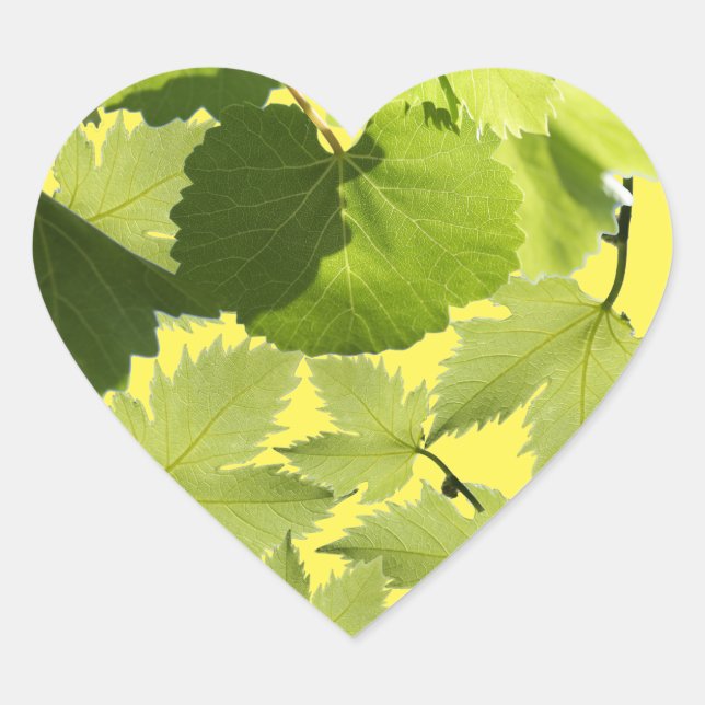 Grape Vine Green Leaves Heart Sticker (Front)