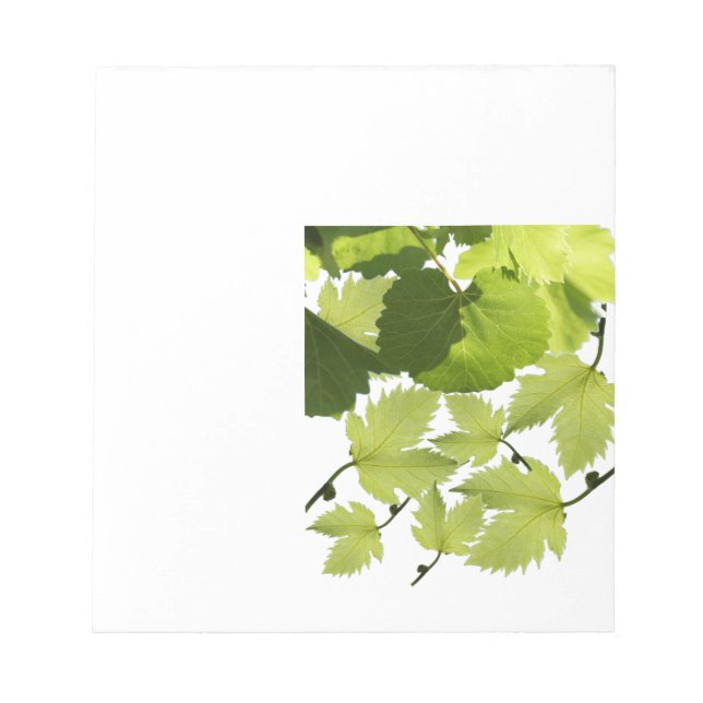 Grape Vine Green Leaves Notepad (Front)