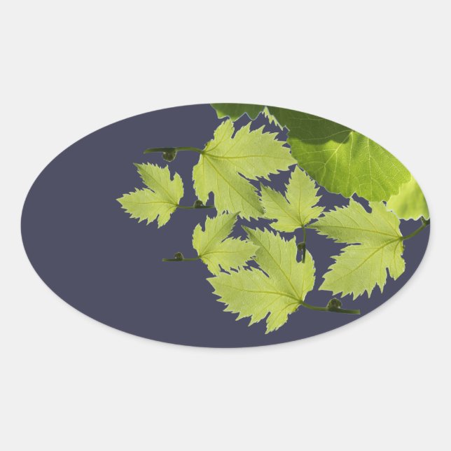 Grape Vine Green Leaves Oval Sticker (Front)