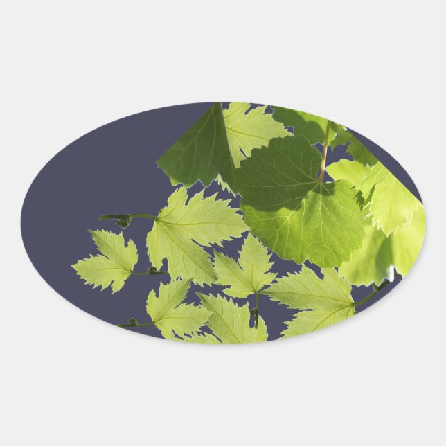 Grape Vine Green Leaves Oval Sticker (Front)