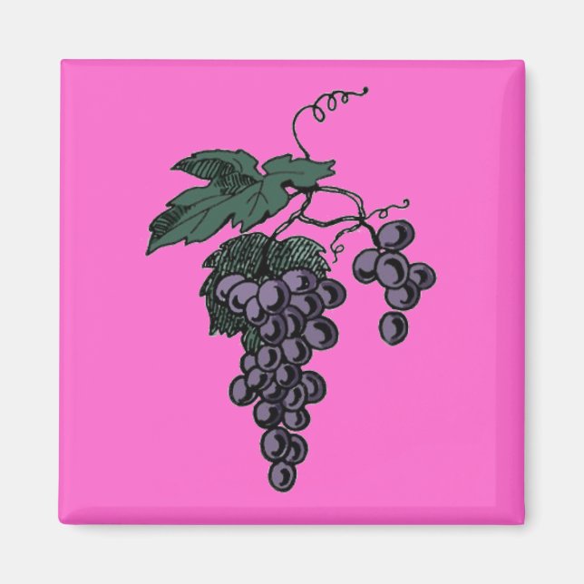 Grape Vine Magnet (Front)