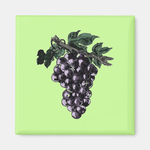 Grape Vines Magnet