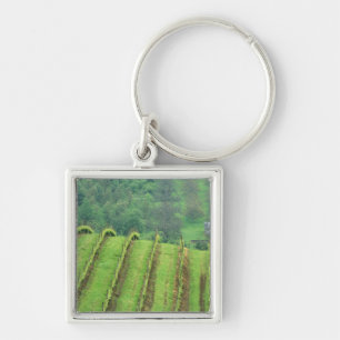 Grape Vineyards near Newberg Oregon Key Ring