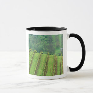 Grape Vineyards near Newberg Oregon Mug