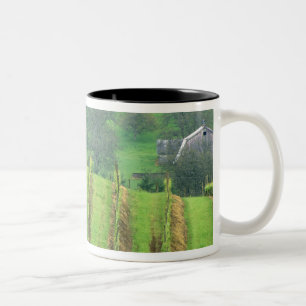 Grape Vineyards near Newberg Oregon Two-Tone Coffee Mug
