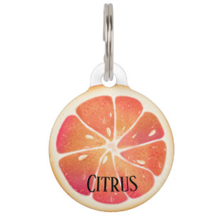 Grapefruit Citrus Fruit Personalised Pet Tag