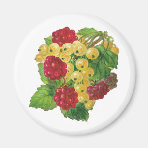 Grapes and Berries Magnets