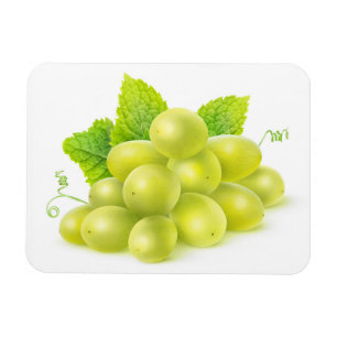 Grapes and mint magnet