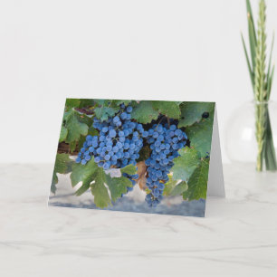Grapes Blank Note Card