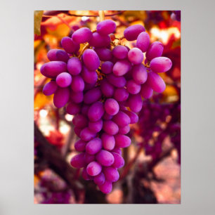 Grapes Chavez Symbol Poster