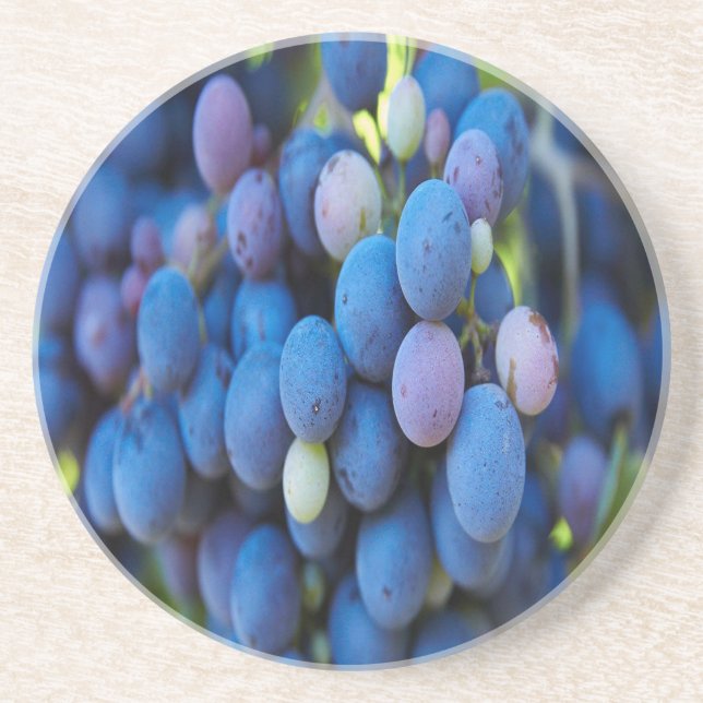 Grapes Coaster (Front)