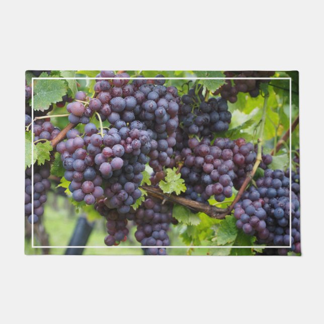 Grapes Door Mat (Front)