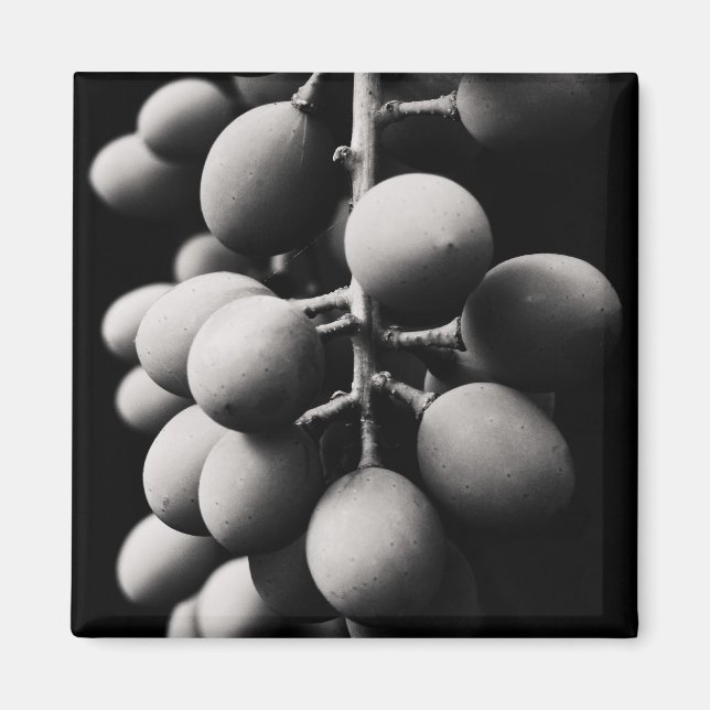 grapes for a sour day magnet (Front)