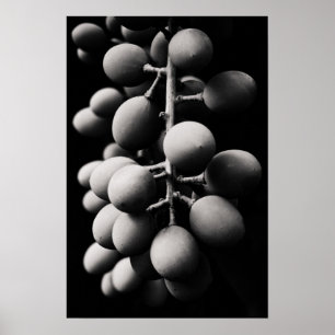 grapes for a sour day poster