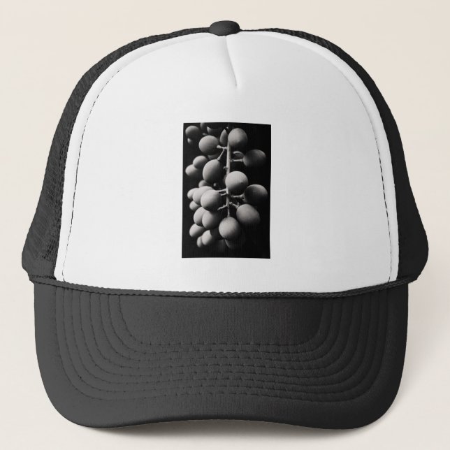 grapes for a sour day trucker hat (Front)