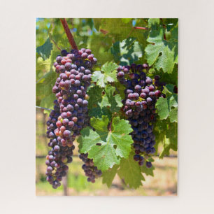 Grapes Jigsaw Puzzle