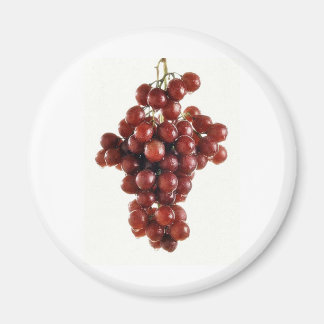 GRAPES MAGNET