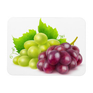 Grapes Magnet