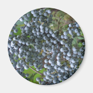 Grapes Magnet