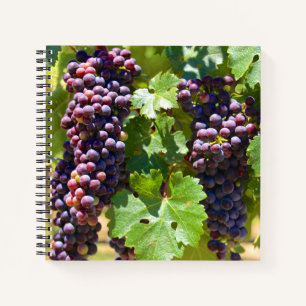 Grapes Notebook