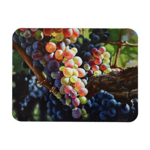 Grapes of Abundance for Wine Lovers & Wineries Magnet