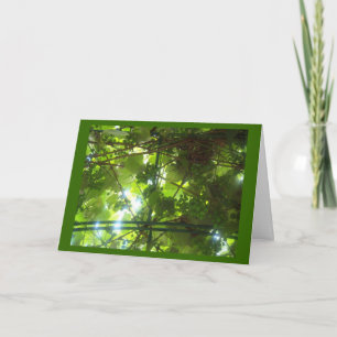 Grapes of Patience w Border Card