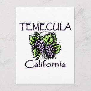 Grapes of Temecula Postcard