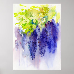 Grapes on a sunny day. Watercolor art Poster