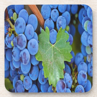 Grapes on a Vine Coaster