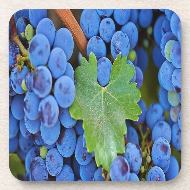 Grapes on a Vine Coaster (Front)