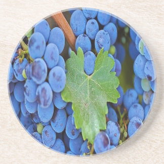 Grapes on a Vine Coaster