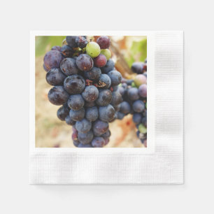 Grapes On A Vine Napkin