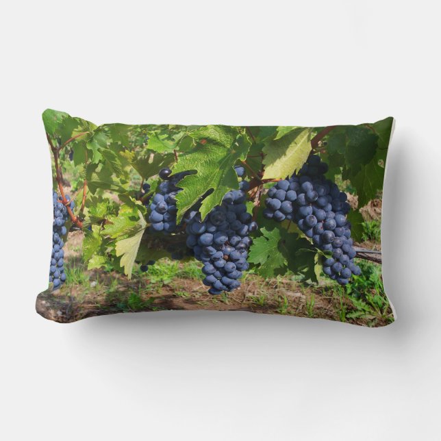Grapes on the Vine Pillow (Front)