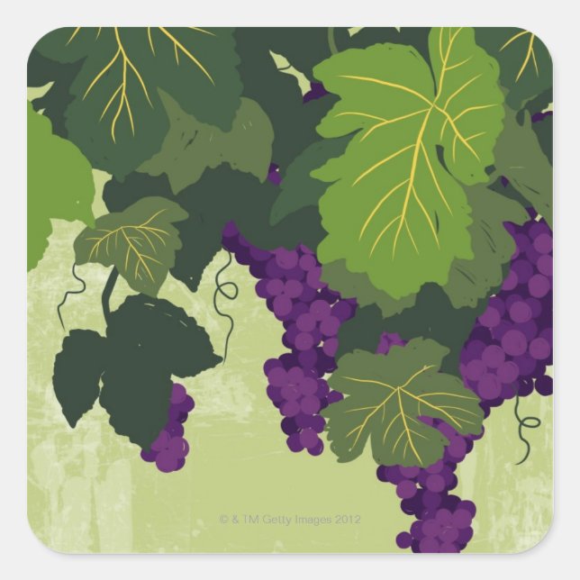 Grapes on the Vine Square Sticker (Front)