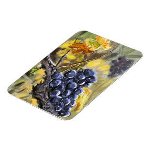 Grapes on the vine stump, Provence. Magnet