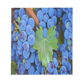 Grapes on Vine Notepad