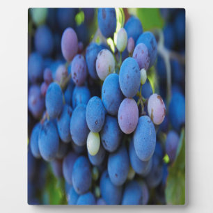 Grapes Plaque