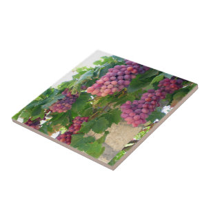 Grapes Print Tile