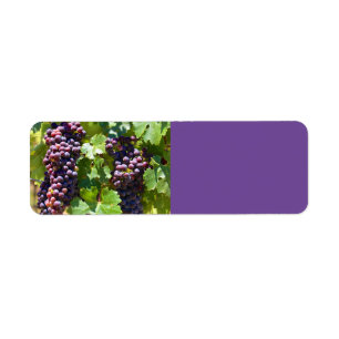 Grapes Return Address Label