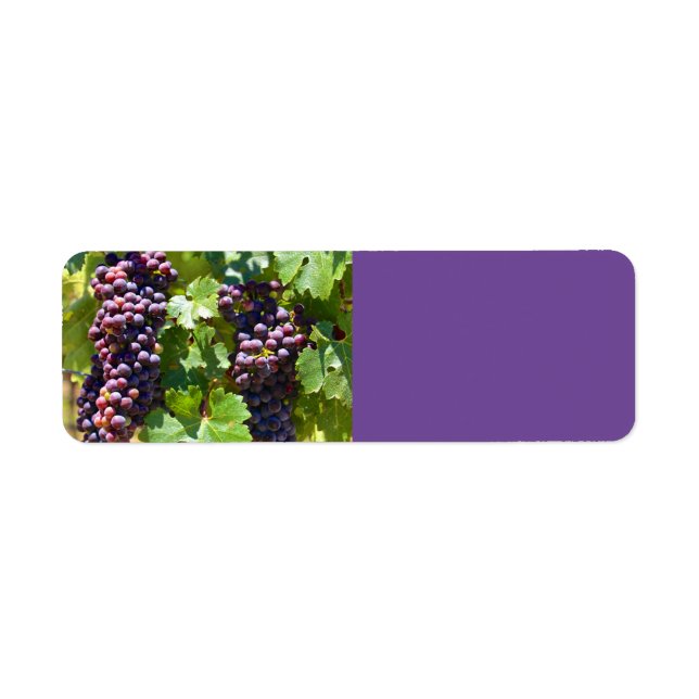 Grapes Return Address Label (Front)
