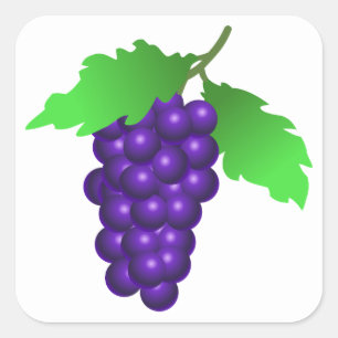 Grapes Square Sticker