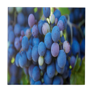 Grapes Tile