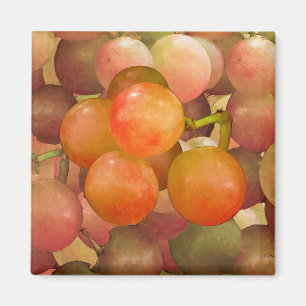 Grapes Un-Wrath Magnet