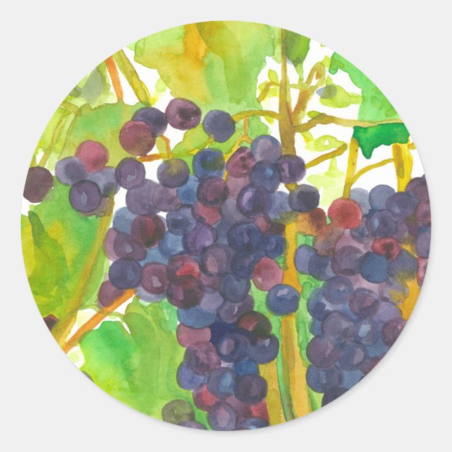 Grapes Vineyard Fruit of the Vine Autumn Classic Round Sticker (Front)