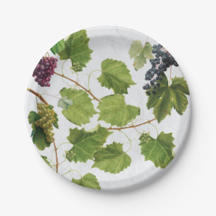 Grapes Vineyard Mediterranean Greek Island Paper Plate